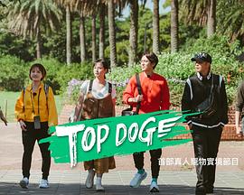 暗黑吃瓜官网入口《TOP DOG》免费在线观看